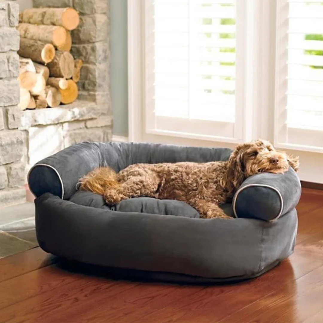 PetWell - Lit orthopédique pour chien avec propriétés apaisantes