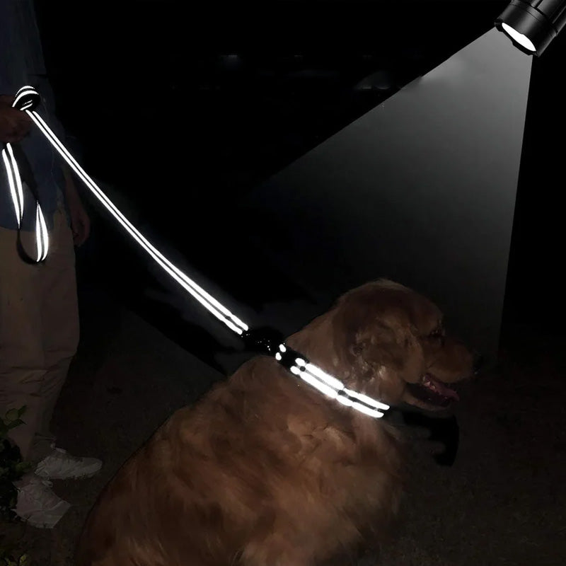 RawPet - Laisse réfléchissante pour chien