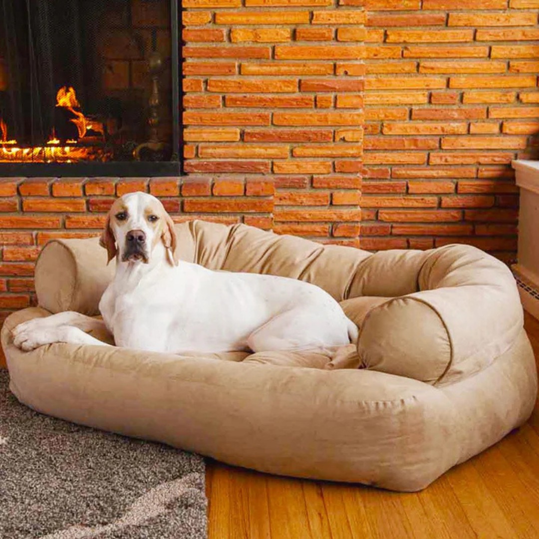 PetWell - Lit orthopédique pour chien avec propriétés apaisantes