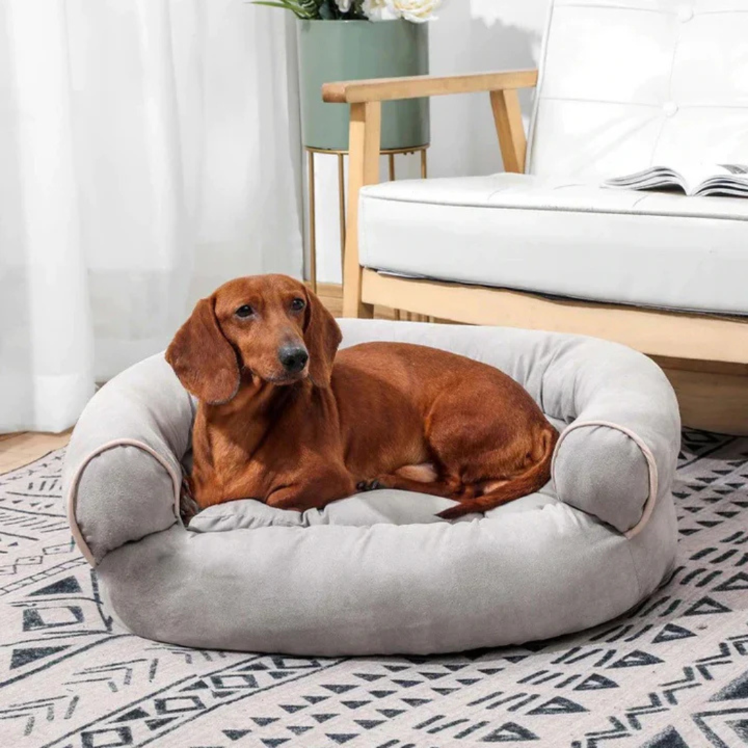 PetWell - Lit orthopédique pour chien avec propriétés apaisantes