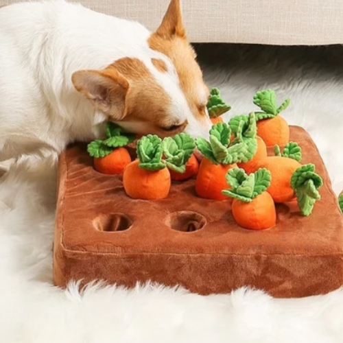 PlayPET – Jouet à mâcher en peluche carotte pour chiens, jouet de fouille