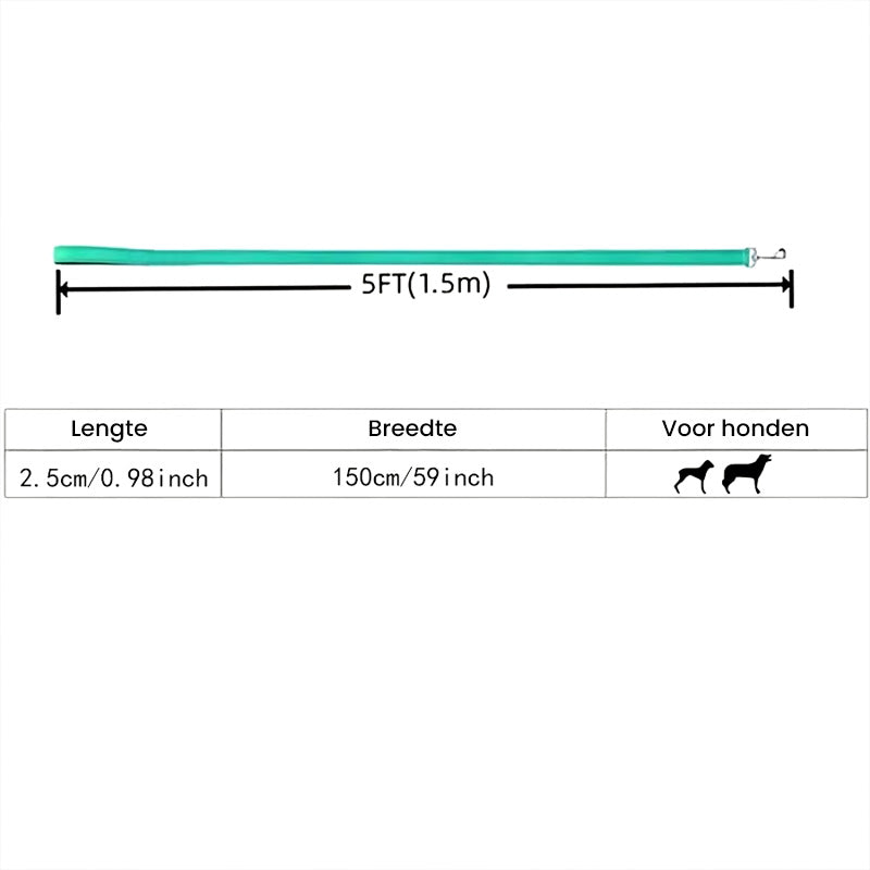 RawPet - Laisse réfléchissante pour chien