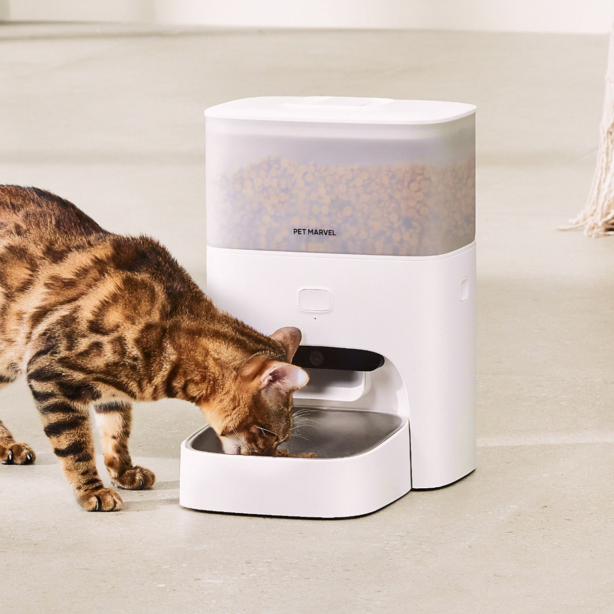 Petdiary – Smart automatisk kattefodrer med kamera