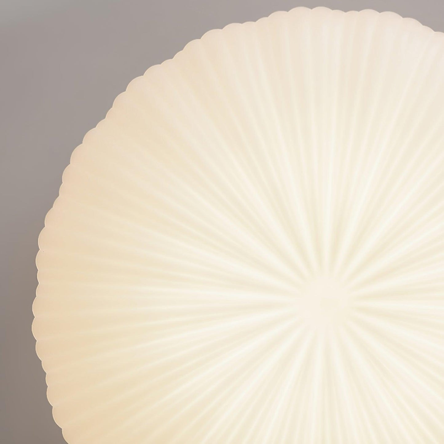 RobbyAura | Stylish Ceiling Light