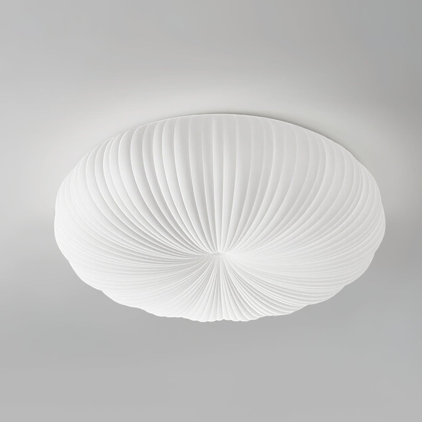 RobbyAura | Stylish Ceiling Light
