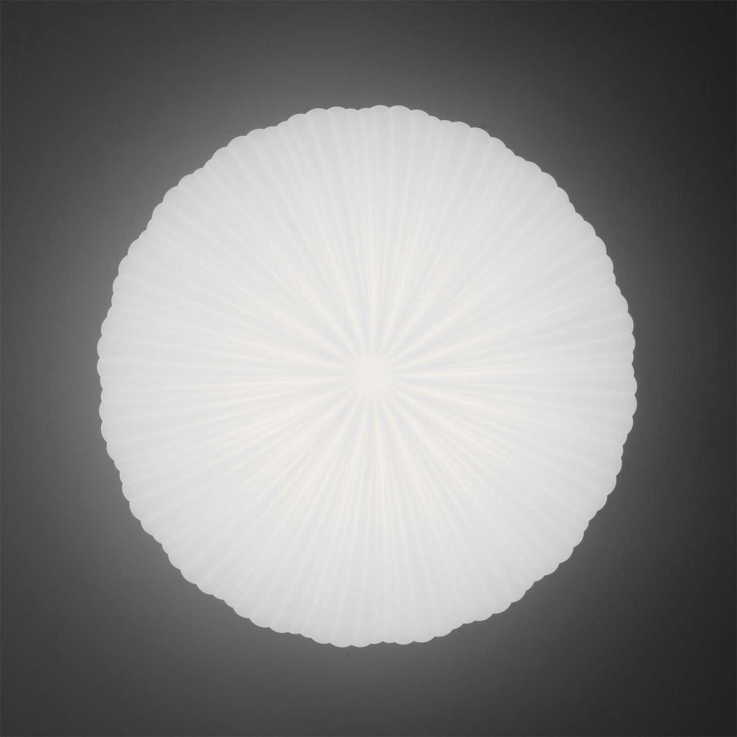 RobbyGlow - Stylish Ceiling Lighting