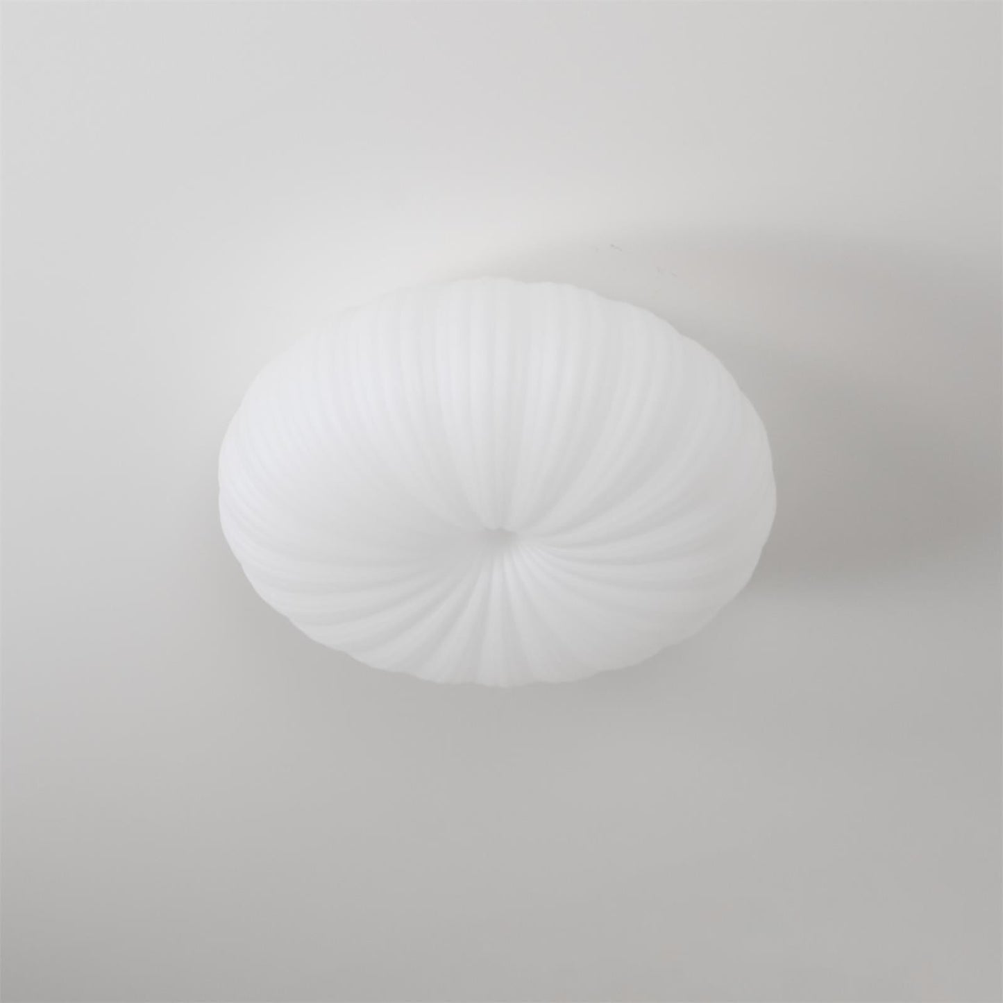 RobbyAura | Stylish Ceiling Light