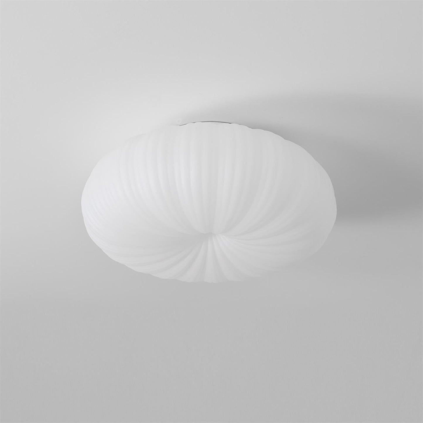 RobbyAura | Stylish Ceiling Light