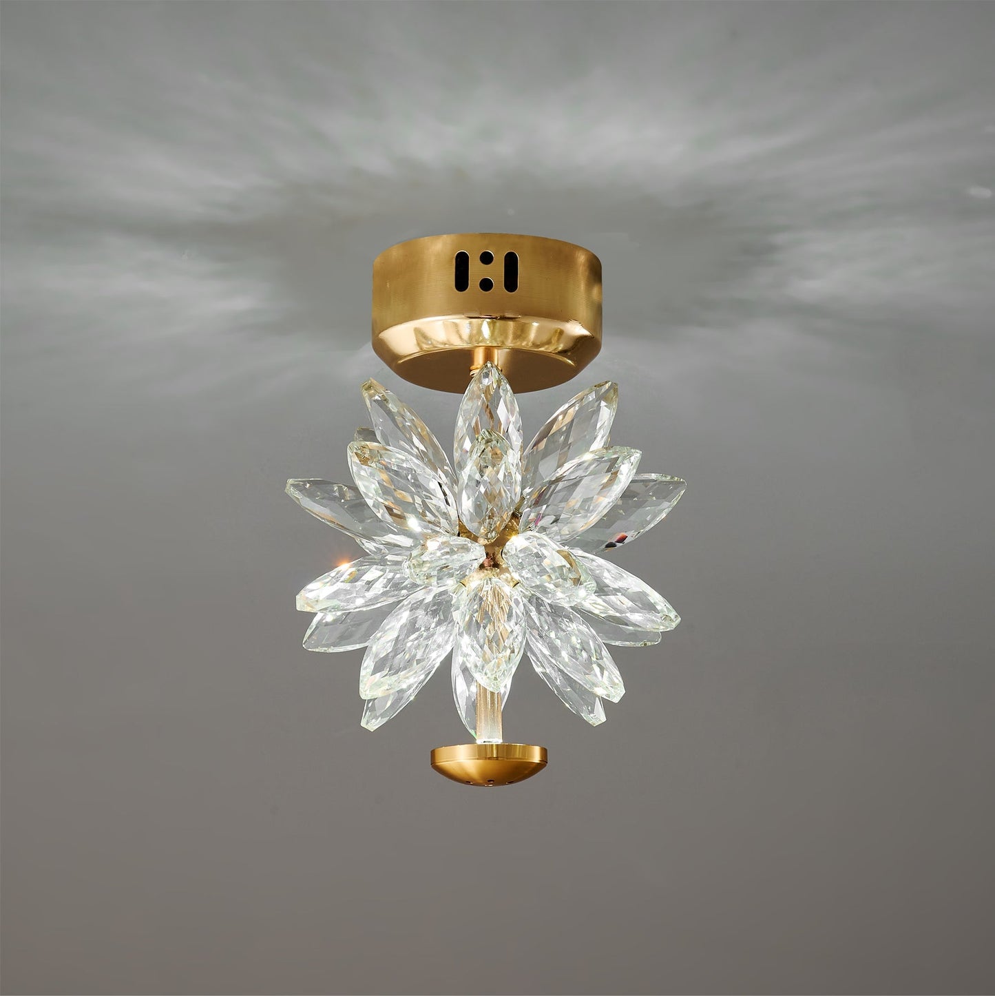 FlowerLuxe - Ceiling Lamp with Floral Design and Subtle Lighting