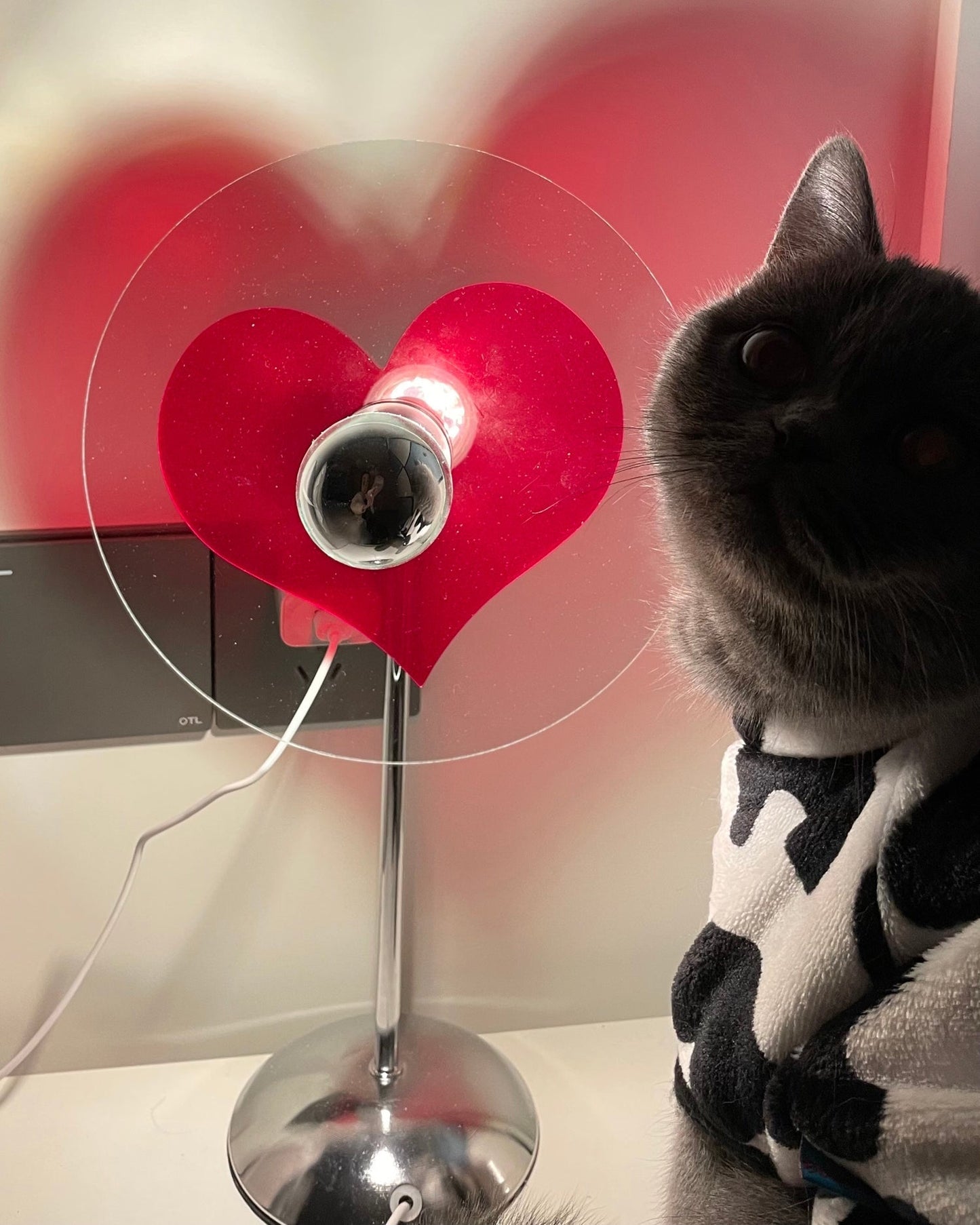 HeartBeam - Tischlampe mit Metallschirm und wiederaufladbarer LED