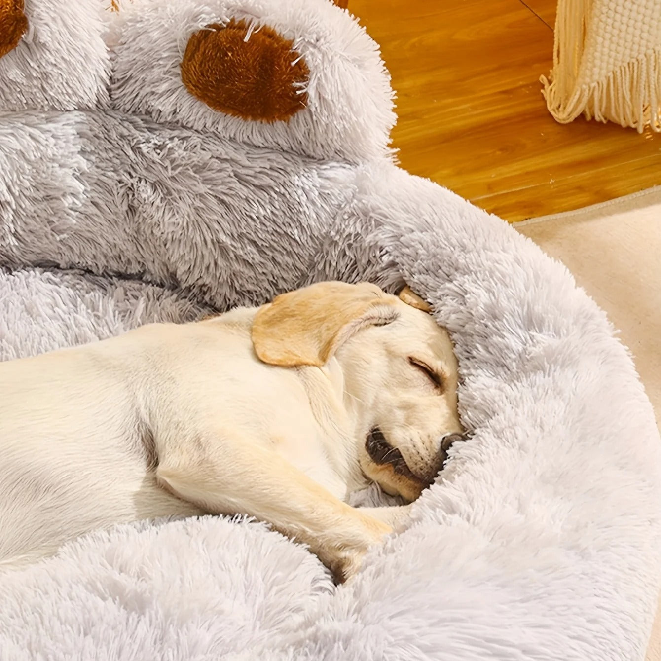 BearCozy - Le lit idéal pour votre compagnon de câlins