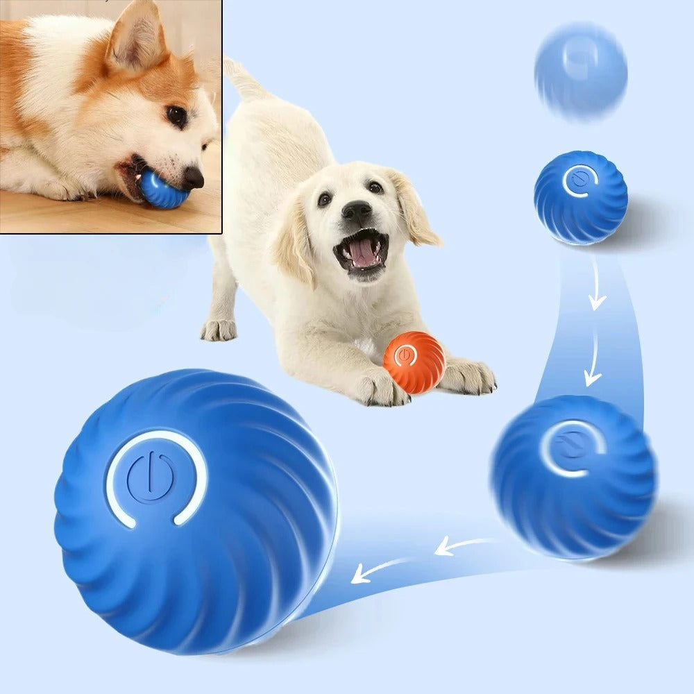 MaxPlay - Balle interactive de jeu pour chien