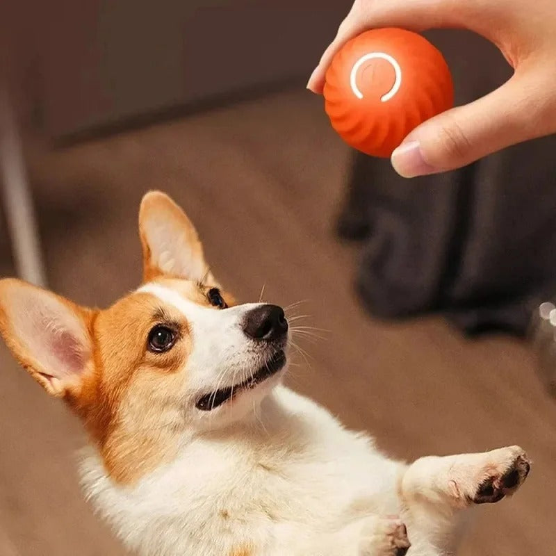 MaxPlay - Balle interactive de jeu pour chien