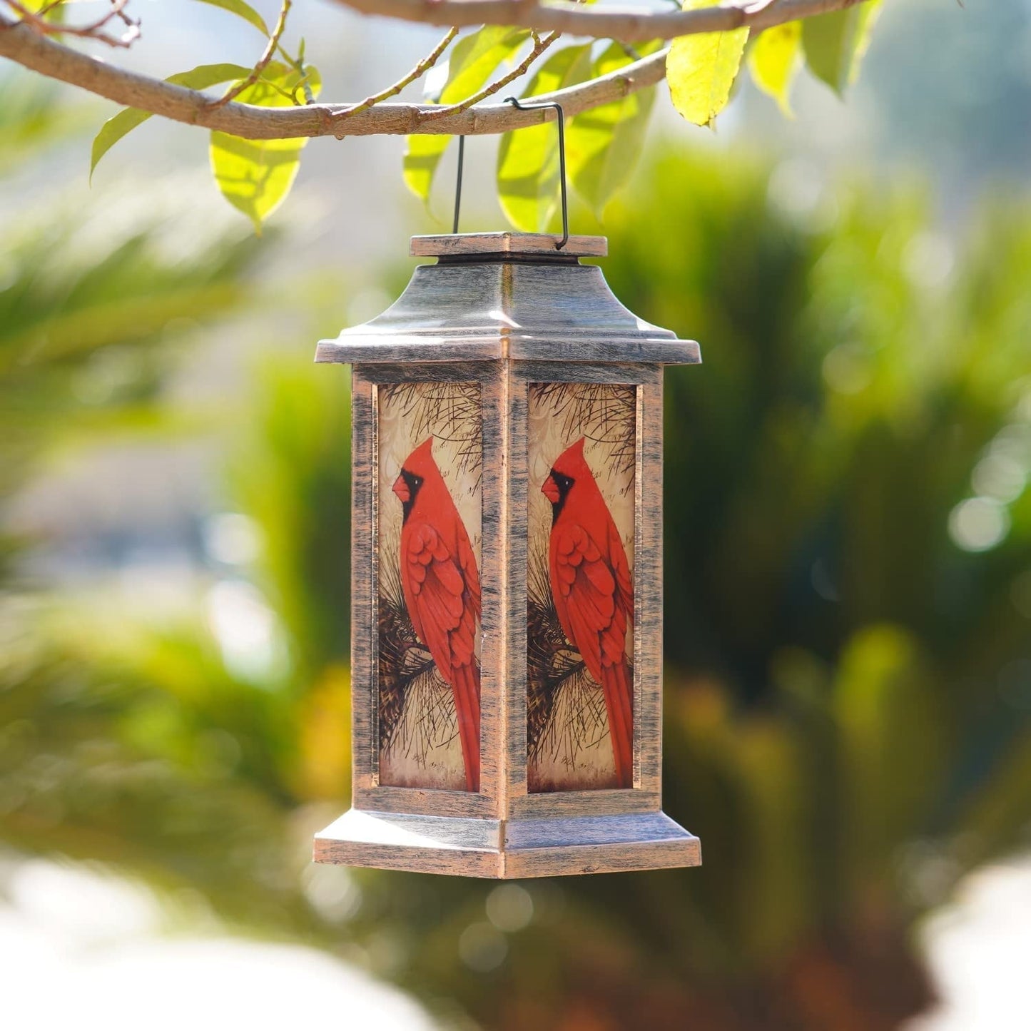 RedBird - Lanterne LED Charmante