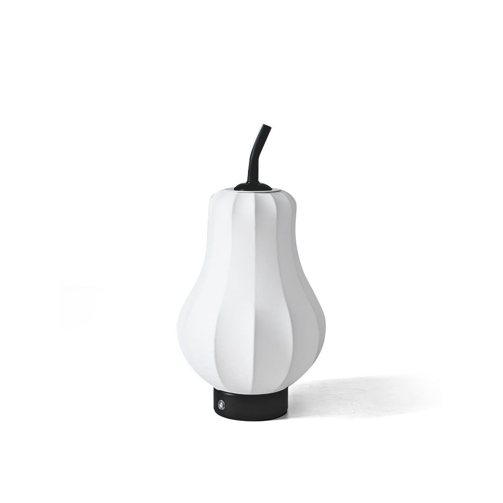 LichtPeer - Table Lamp with Rechargeable Battery and Creative Design