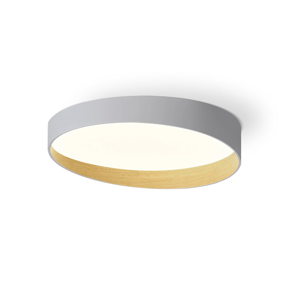 LuxeAlton - Ceiling Light with Elegant Finish and Subtle Lighting