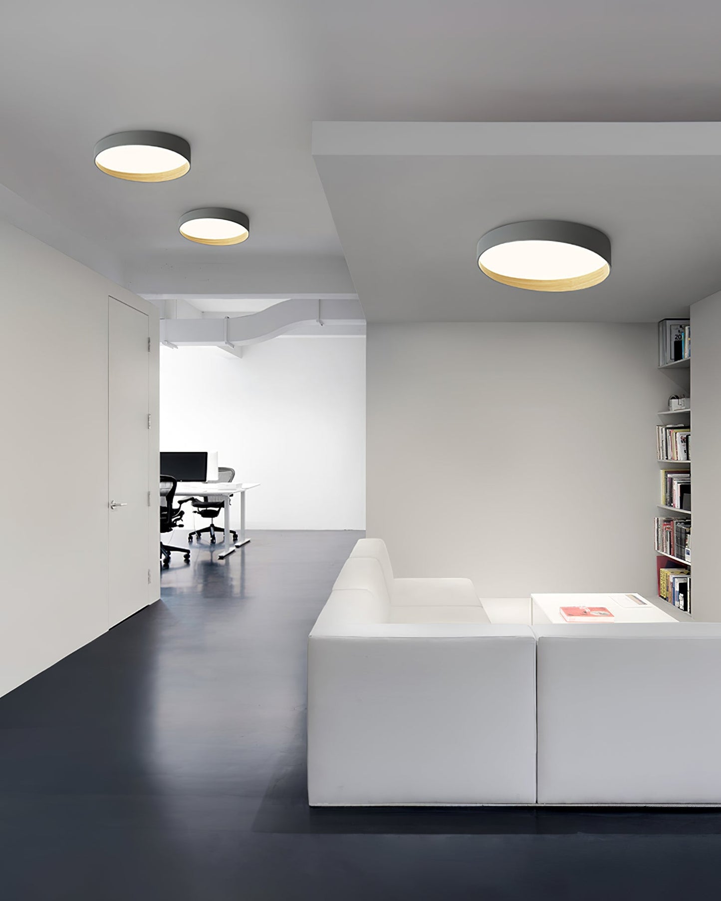 LuxeAlton - Ceiling Light with Elegant Finish and Subtle Lighting