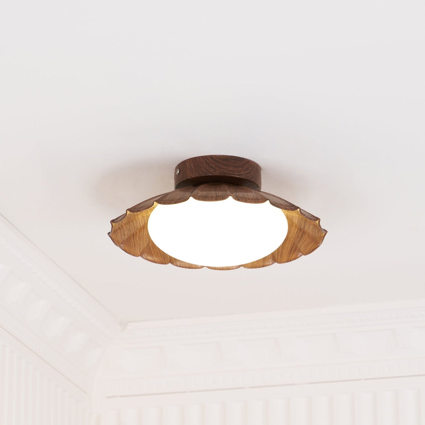 DorindaShine - Modern Ceiling Lighting