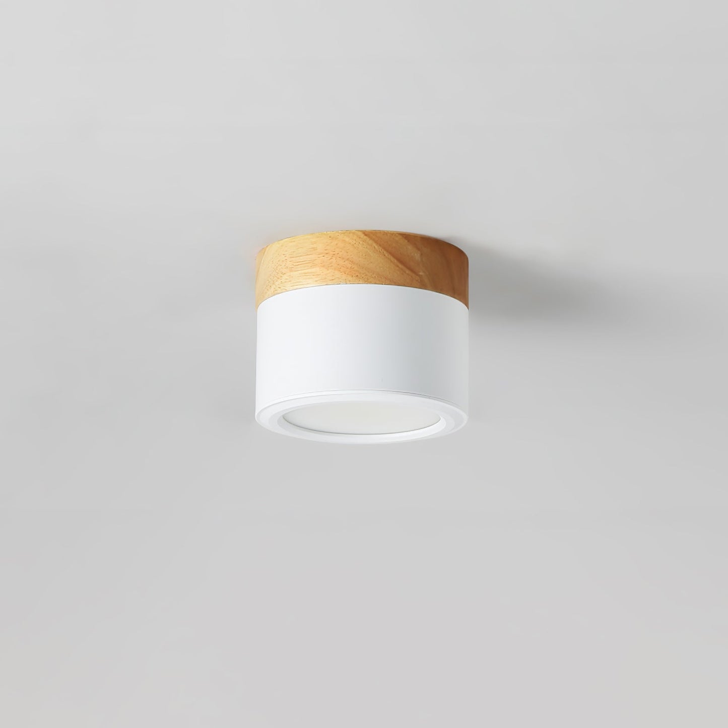 SpotLicht - Loftspotlampe med slank form og retningsbestemt belysning