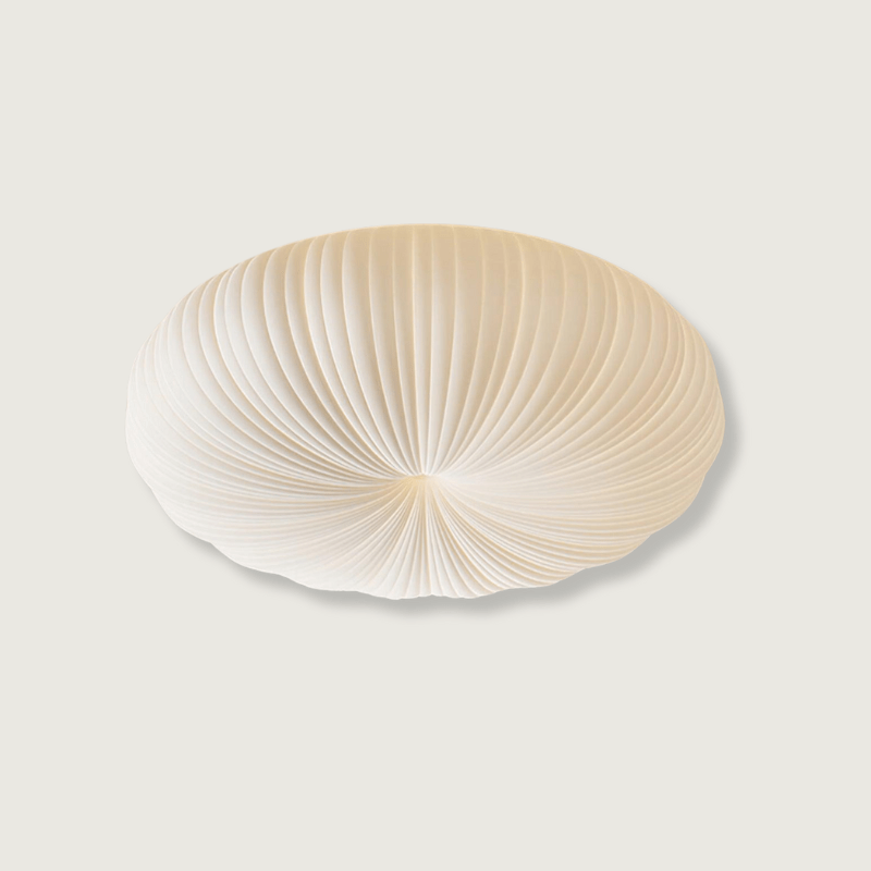 RobbyAura | Stylish Ceiling Light
