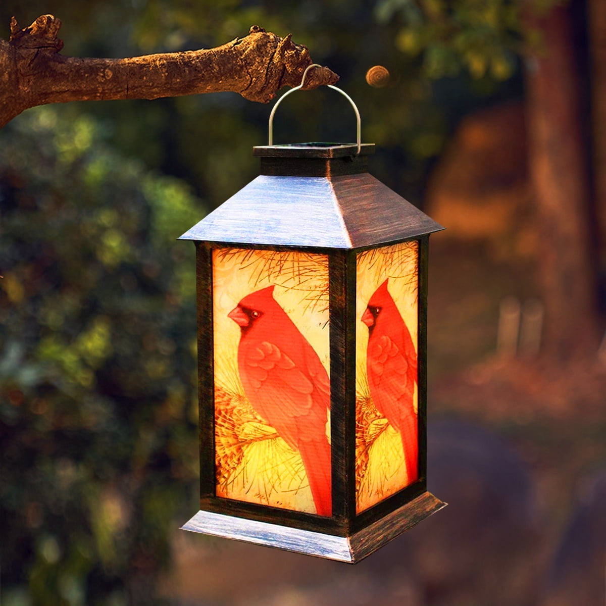 RedBird - Lanterne LED Charmante