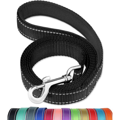 RawPet - Laisse réfléchissante pour chien
