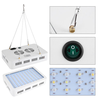 Lampe de culture LED 1000W – Spectre complet avec IR et UV