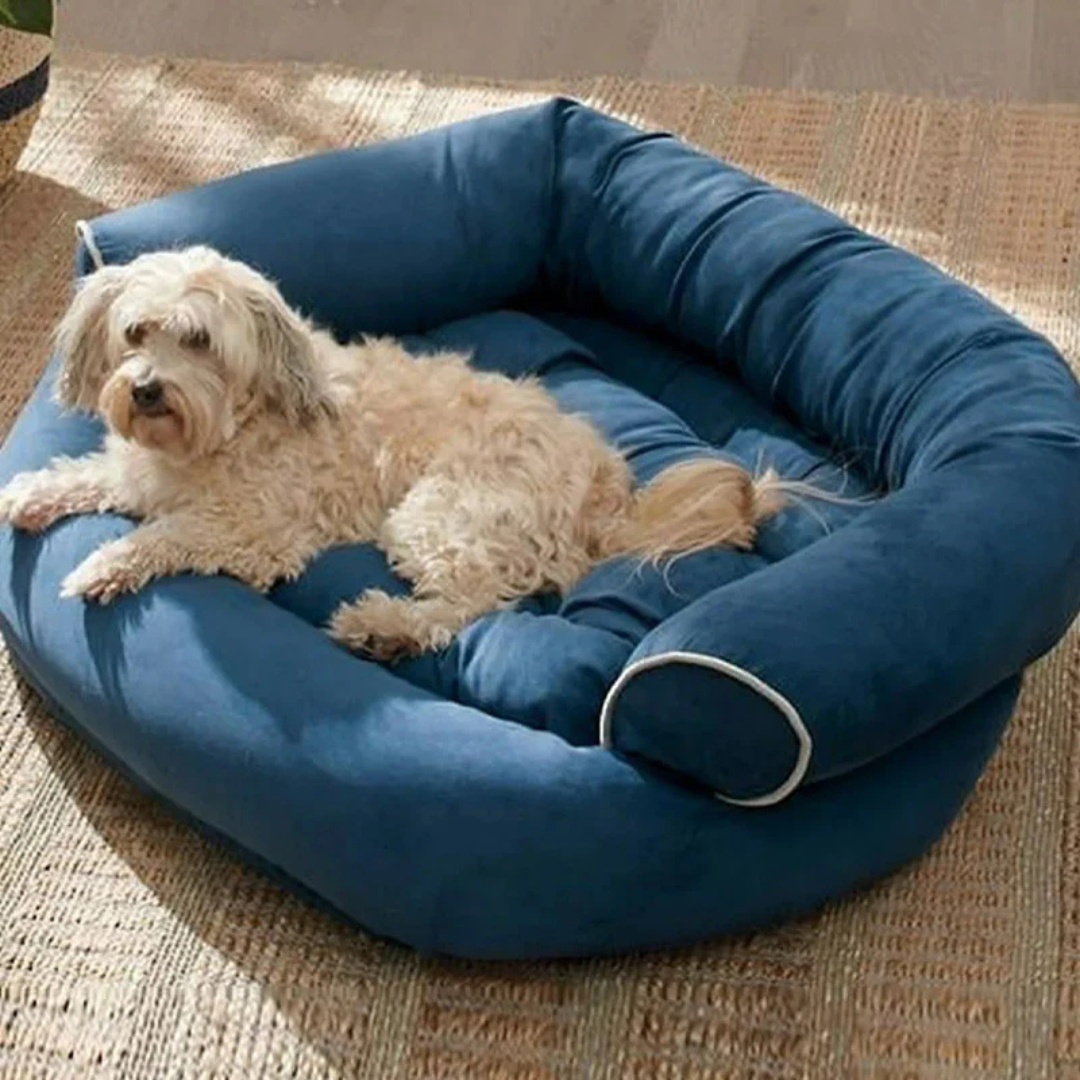 PetWell - Lit orthopédique pour chien avec propriétés apaisantes