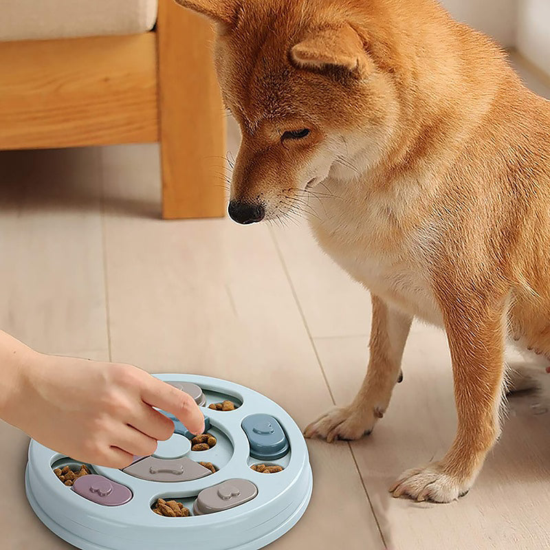 PETLover - Bol d'alimentation innovant anti-glougloutage pour chiens