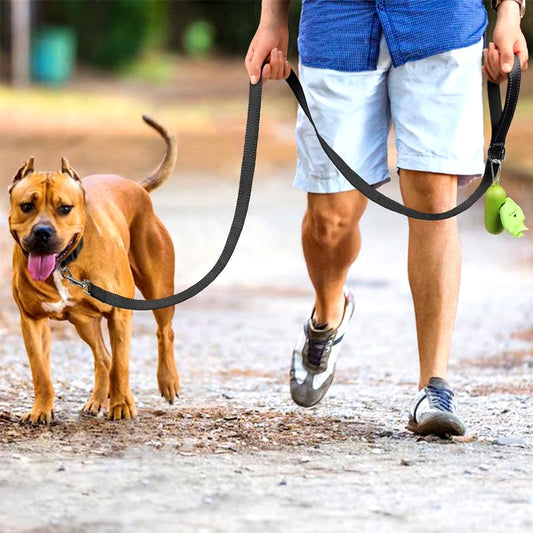 RawPet - Laisse réfléchissante pour chien