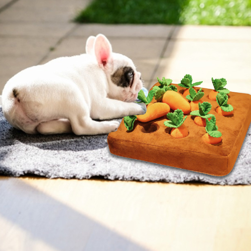 PlayPET – Jouet à mâcher en peluche carotte pour chiens, jouet de fouille