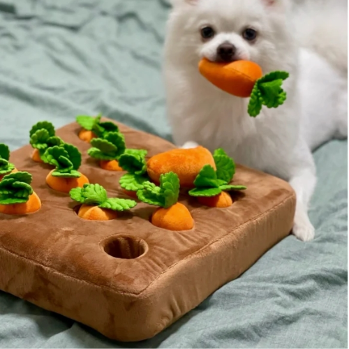 PlayPET – Jouet à mâcher en peluche carotte pour chiens, jouet de fouille