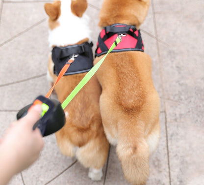 PetWorld - Laisse rétractable double innovante pour chien avec lumière