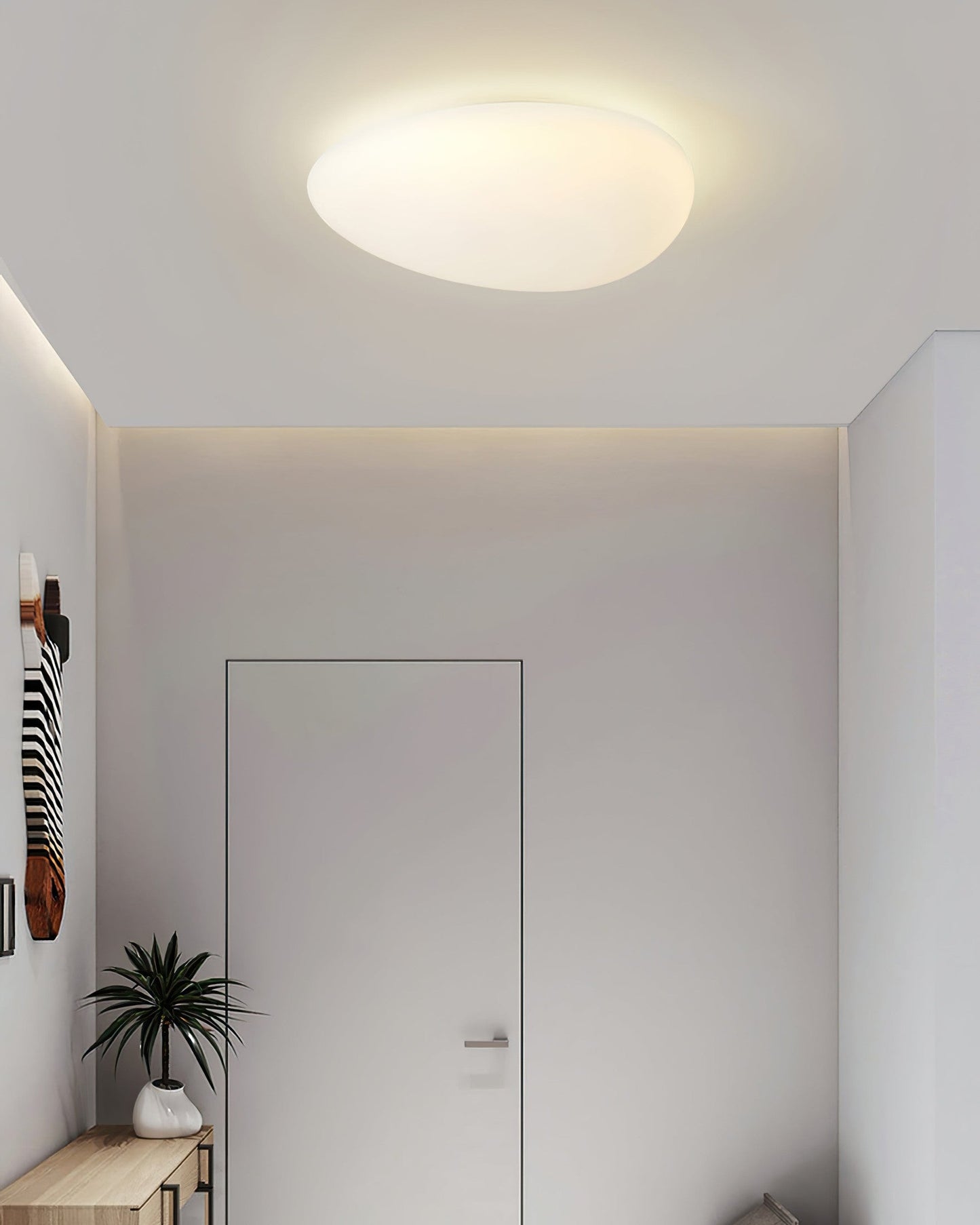 LEDToan - Ceiling Lamp