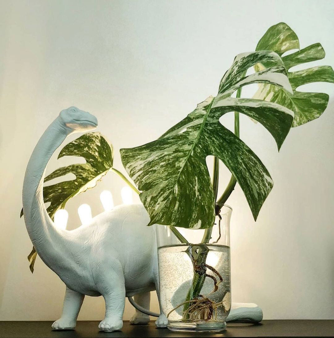 DinoLite - Kreativ Bordlampe med Oplyst Bagside