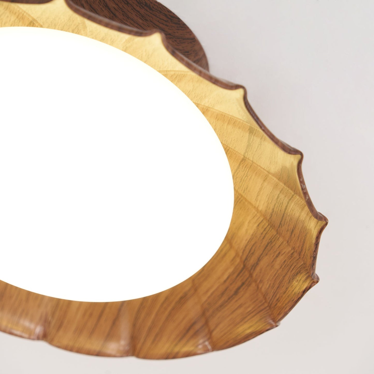 DorindaShine - Modern Ceiling Lighting