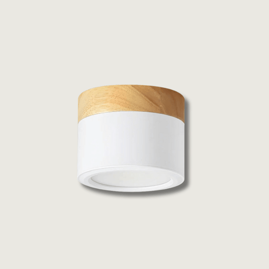 SpotLicht - Loftspotlampe med slank form og retningsbestemt belysning