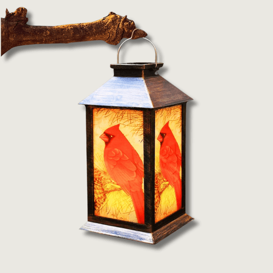 RedBird - Lanterne LED Charmante