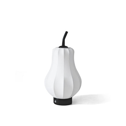 LichtPeer - Table Lamp with Rechargeable Battery and Creative Design