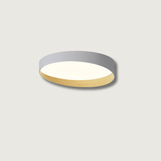 LuxeAlton - Loftlampe med elegant finish og subtil belysning