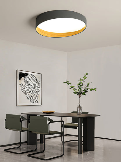 LuxeAlton - Loftlampe med elegant finish og subtil belysning