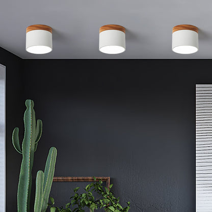 SpotLicht - Ceiling Spot Lamp with Sleek Form and Directional Lighting