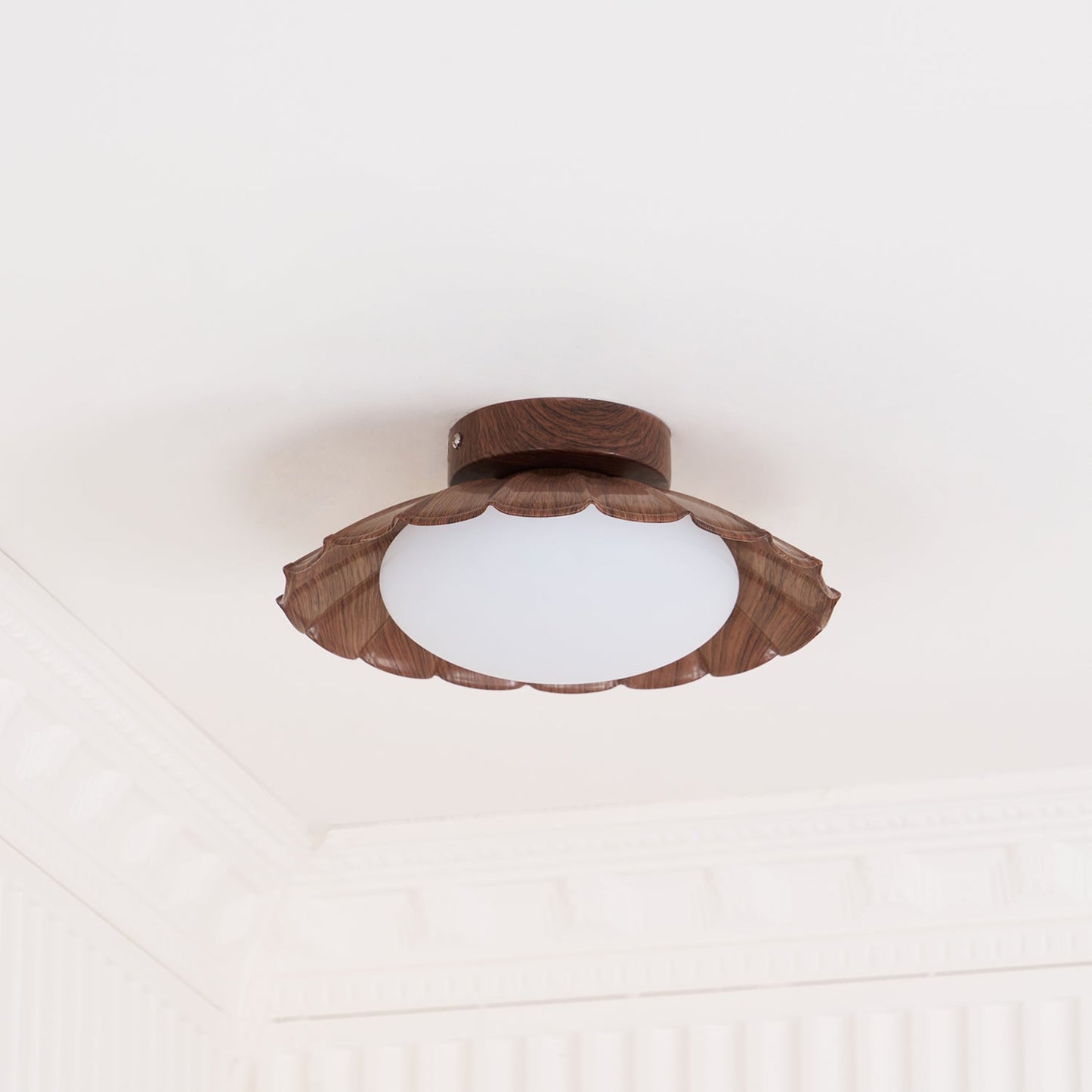 DorindaShine - Modern Ceiling Lighting