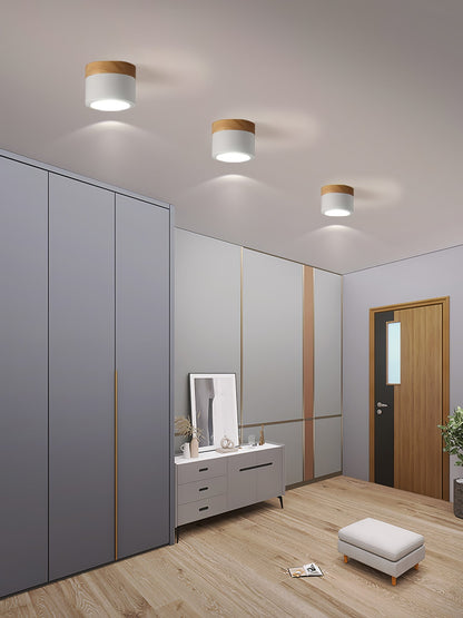 SpotLicht - Ceiling Spot Lamp with Sleek Form and Directional Lighting