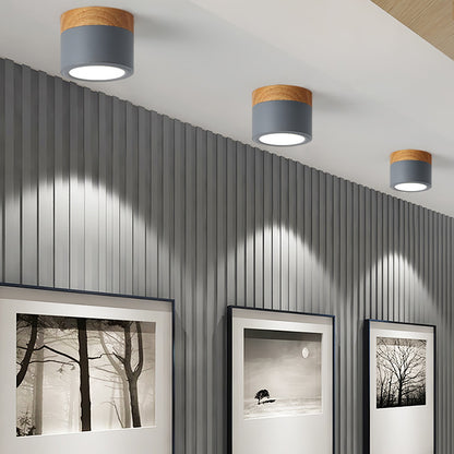 SpotLicht - Ceiling Spot Lamp with Sleek Form and Directional Lighting