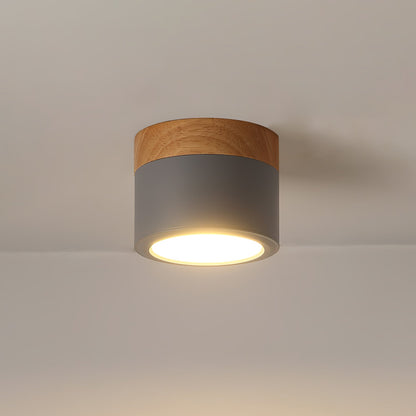 SpotLicht - Ceiling Spot Lamp with Sleek Form and Directional Lighting