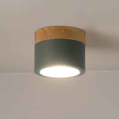 SpotLicht - Ceiling Spot Lamp with Sleek Form and Directional Lighting