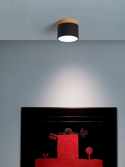 SpotLicht - Ceiling Spot Lamp with Sleek Form and Directional Lighting