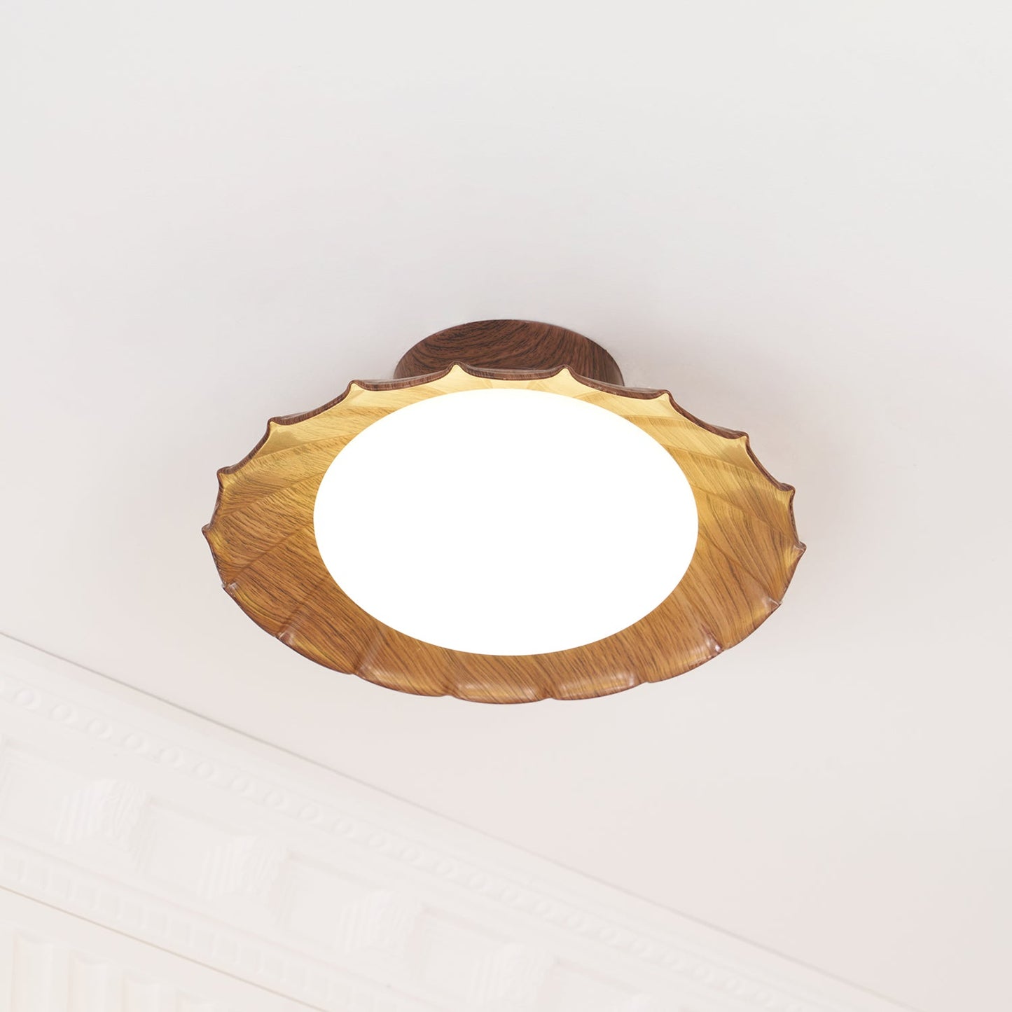 DorindaShine - Modern Ceiling Lighting