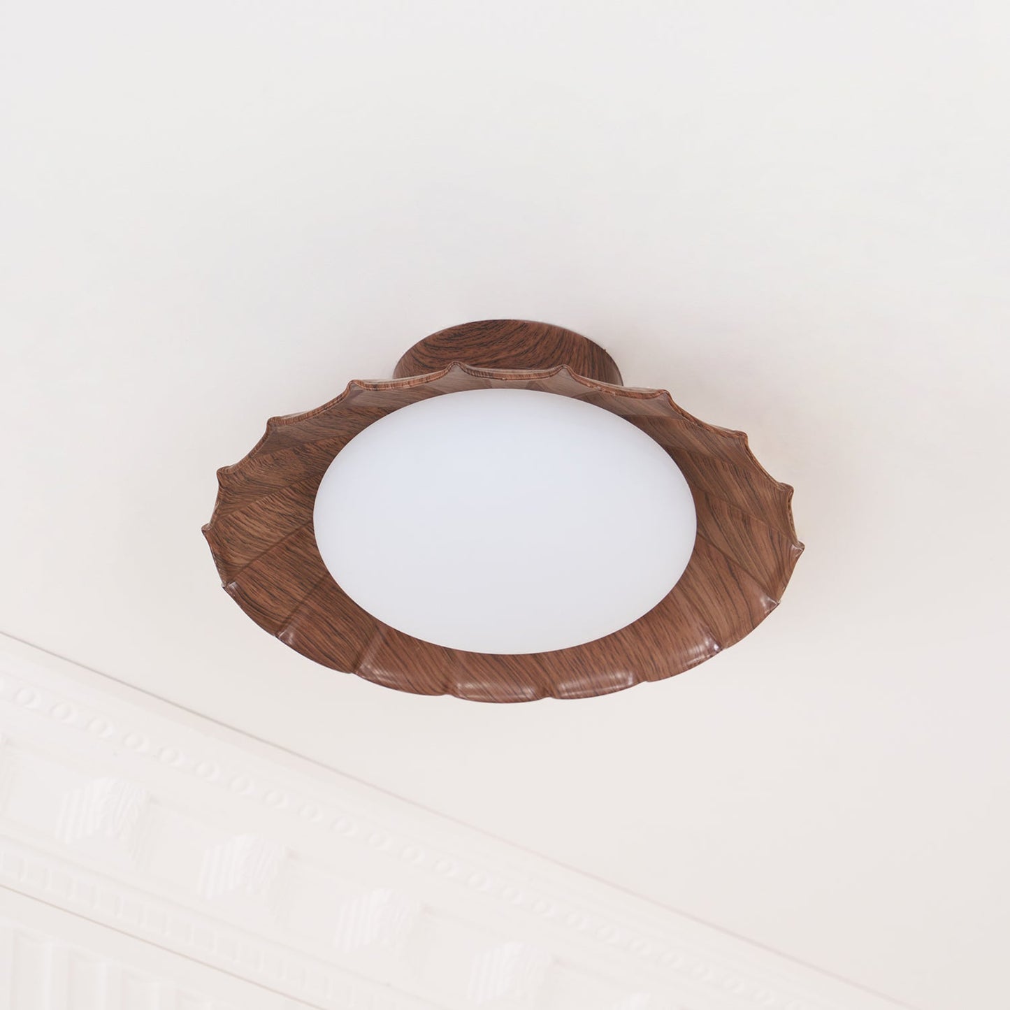DorindaShine - Modern Ceiling Lighting
